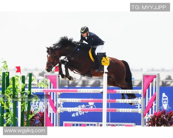 马术场地障碍赛晋级之路探秘如何在赛场上脱颖而出