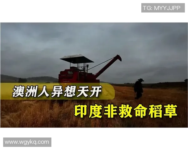 西涅经济危机：居民生活的深重困境与希望之光